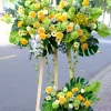 Kệ hoa chúc mừng 04