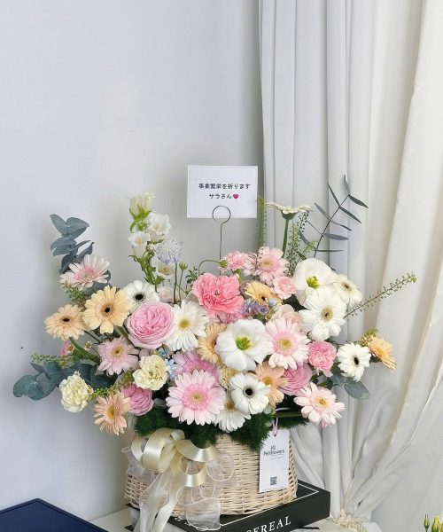 Khai Hoa Khởi Sắc BO092