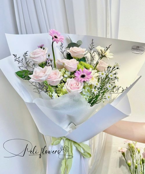 Gió Mới BO096
