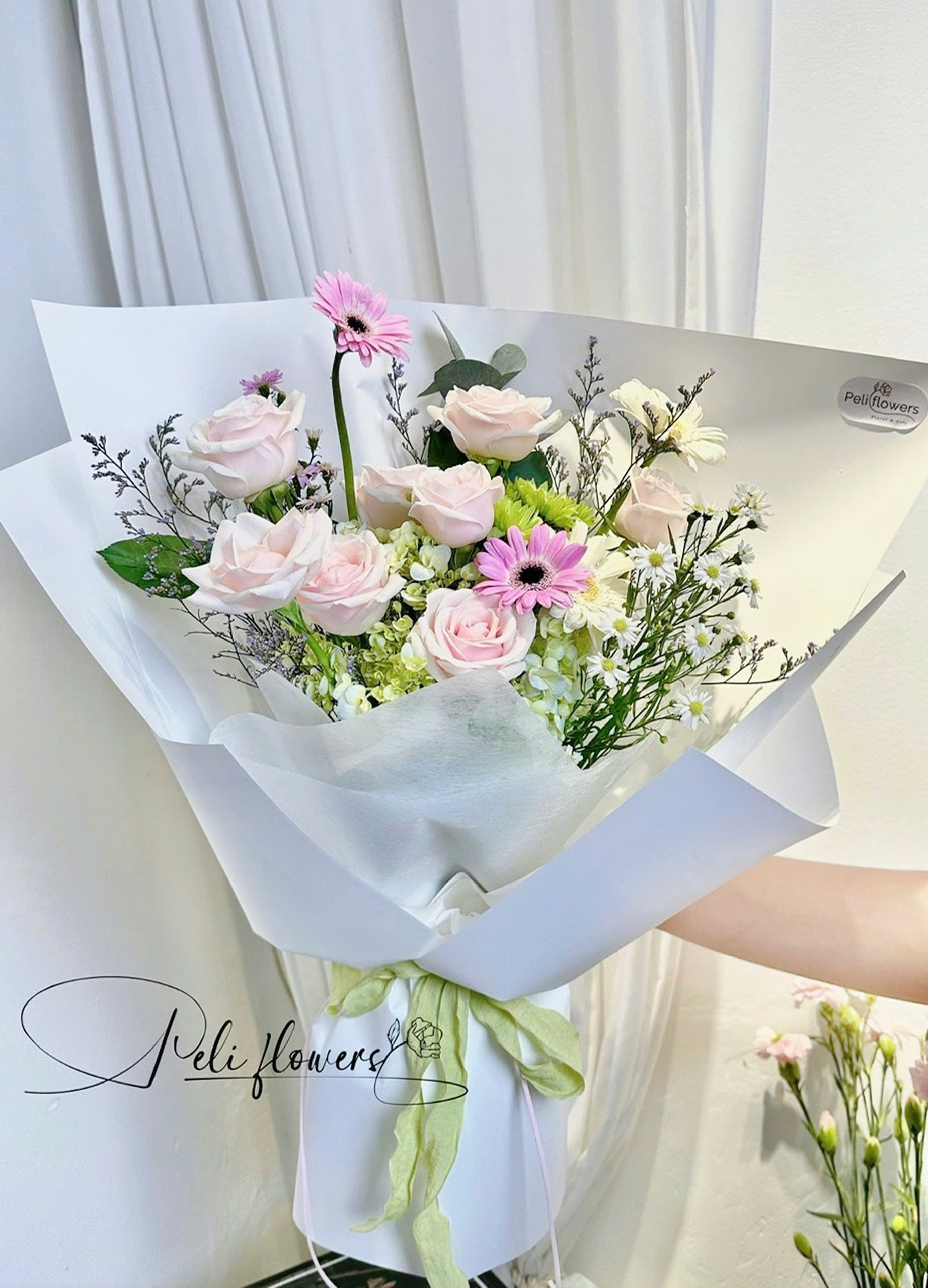 Gió Mới BO096