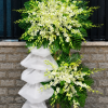 Kệ hoa chia buồn KCB026